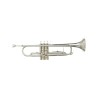 Trompeta Silverstone SLTP013, Niquelada, Doble Llave, SiB (Bb), con Estuche